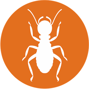 Davenport Pest Management | Pest Control | St. Louis